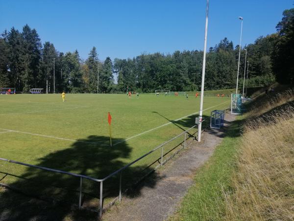 Eugen Günther Sportpark Platz 2 - Althengstett