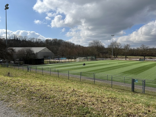 Sportzentrum Wasen Platz 3 - Freiberg/Neckar