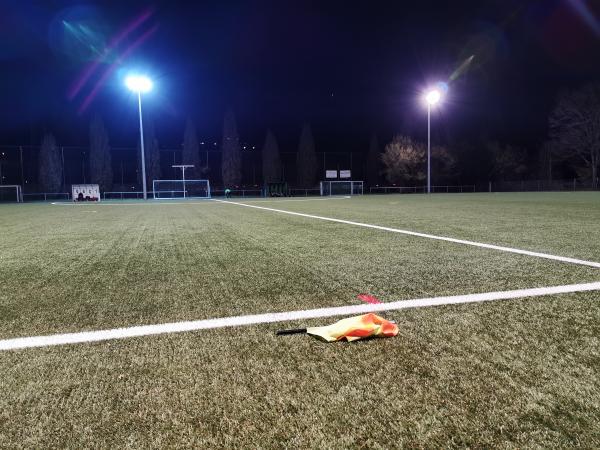 Sportanlage Carl-Diem-Straße Platz 2 - Ludwigsburg-Neckarweihingen