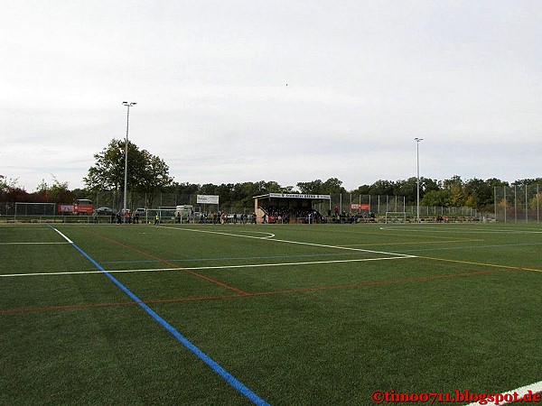 Stemmler Arena - Tübingen