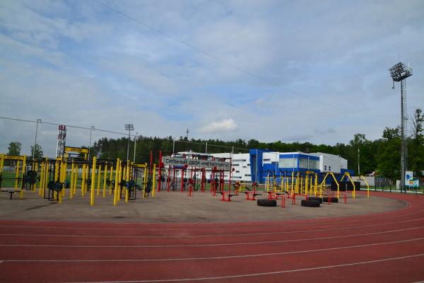 Stadion Metallurg - Vidnoye
