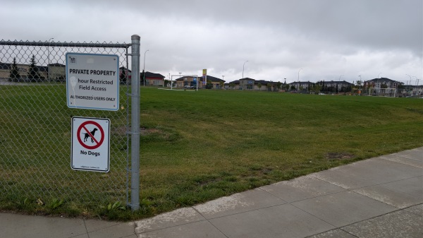 Nelson Mandela Athletic Field - Calgary, AB
