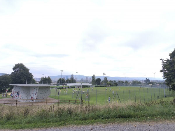 Sportanlage Buchlern Platz 8 - Zürich