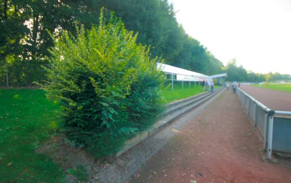 Heyden-Securit Hassenbrockstadion - Rheine-Mesum