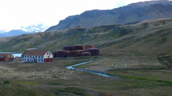 Grytviken Football Field - Grytviken