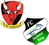 Wappen SG Höllental/Saaletal (Ground A)