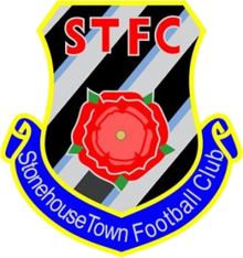 Wappen Stonehouse Town FC  85404