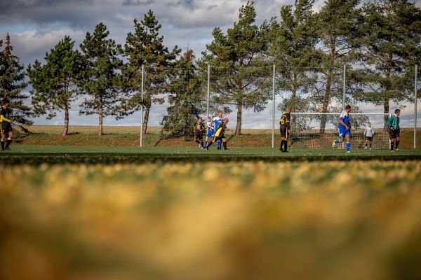 Sportanlage Sachsendorfer Straße - Wermsdorf