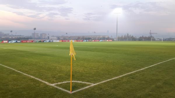 Armenia Football Academy grass - Yerevan