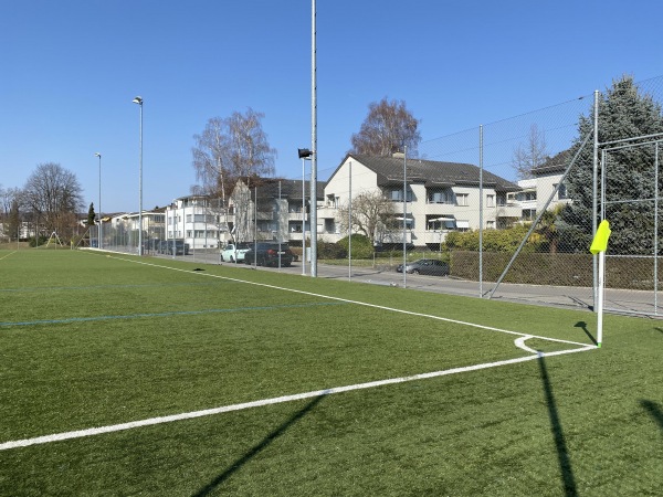 Sportplatz Riet Platz 2 - Zollikon