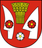 Wappen TJ Družstevník Čičov  126461