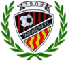 Wappen Tarragona FC   125631
