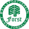 Wappen BSV Forst Torgelow 1976