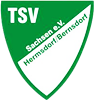 Wappen TSV Sachsen Hermsdorf/Bernsdorf 1963