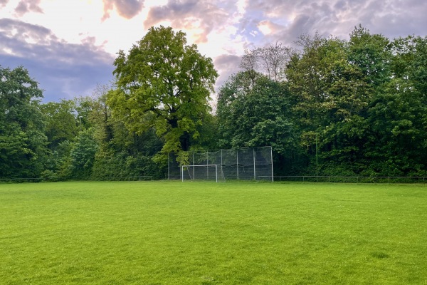 Waldstadion Nebenplatz - Sasbach/Kaiserstuhl