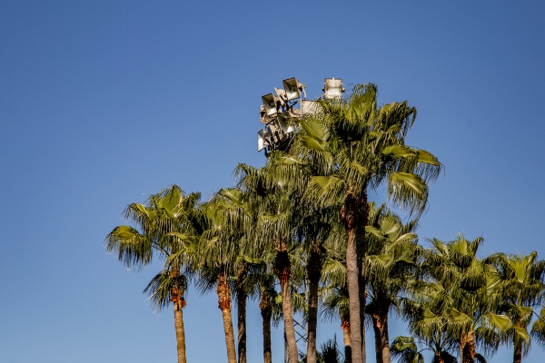 Marbella Football Center Campo Norte 1 - San Pedro de Alcántara, AN