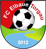 Wappen FC Elbaue Torgau 2012