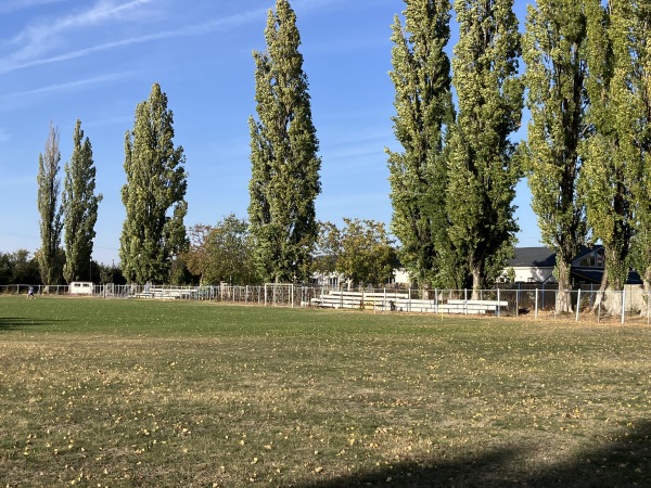 Stadionul Auto - Timișoara (Temeswar)