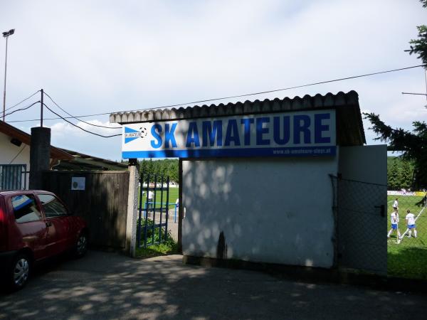 Sportplatz SK Amateure - Steyr