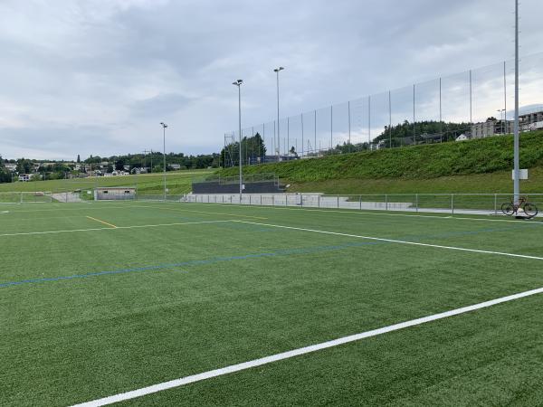 Sportplatz Sürenloh Platz 2 - Uitikon
