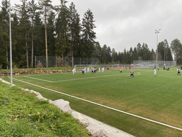 Sportplatz am Wolfsbach 2 - Villingen-Schwenningen-Tannheim