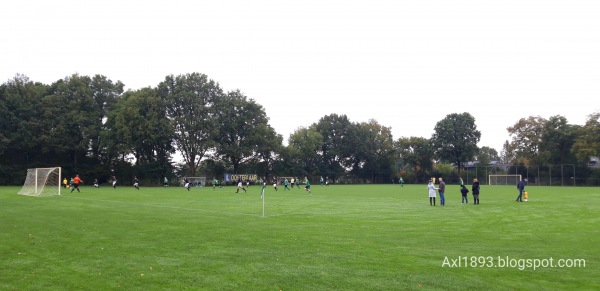 Sportpark De Kampen veld 3 - Raalte-Heino