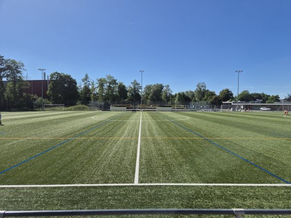 Sportanlage Meierwiesen Platz 6 - Wetzikon