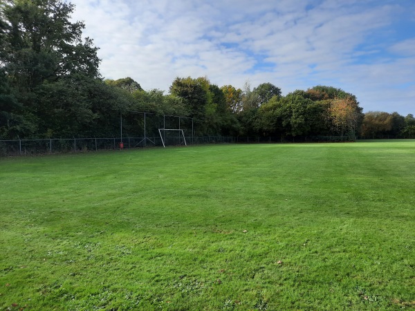 Sportpark De Langeleegte veld 8 - Veendam