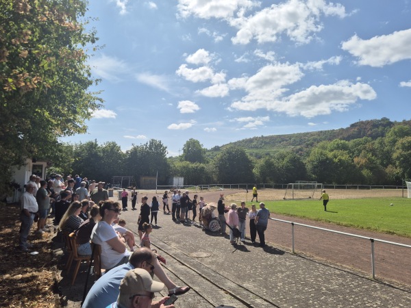 Mittelmosel-Sportanlage  - Wintrich