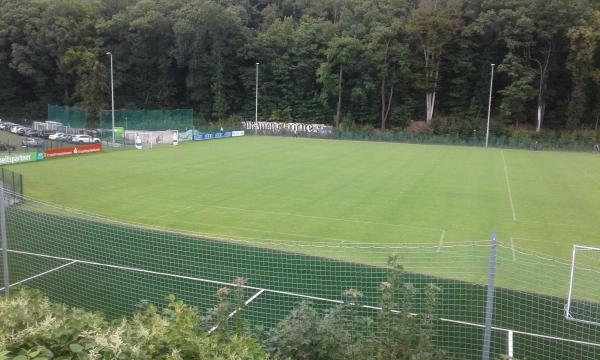 Erzgebirgsstadion Nebenplatz 1 - Aue-Bad Schlema