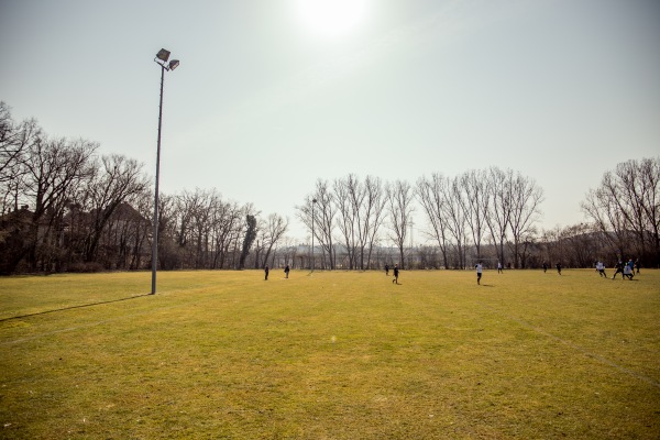 Hans-Lohnert-Sportanlage Platz 2 - Fürth/Mittelfranken-Südstadt