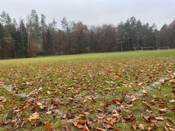 Sportplatz im Wald - Betzenstein