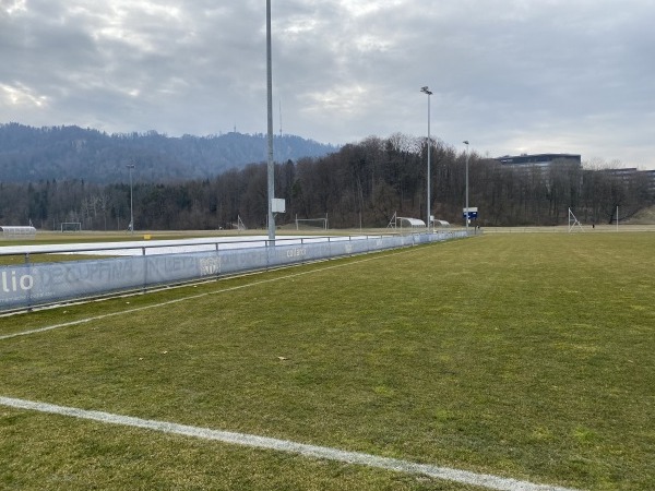 Sportanlage Allmend Brunau Platz 6 - Zürich