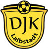 Wappen DJK Laibstadt 1980 diverse  56955