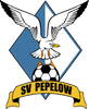 Wappen SV Pepelow 1993