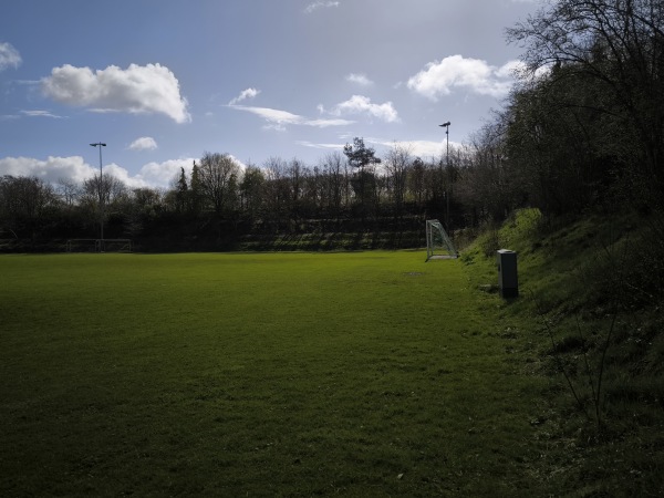 Sportanlage Börgerstraße B-Platz - Surwold-Börgerwald