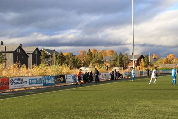 COOP Arena - Alta