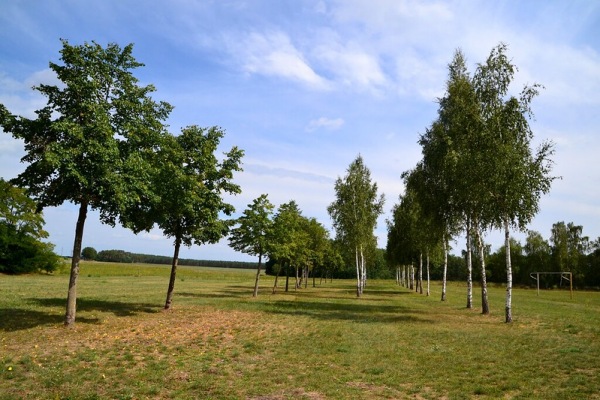 Sportplatz am Jugendseeheim - Zerbst/Anhalt-Deetz
