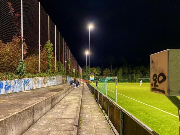Sportplatz Einschlag - Reinach BL