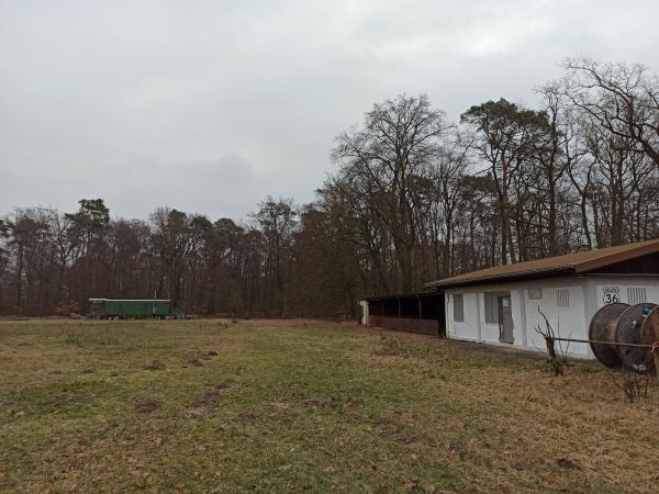 Sportgelände Graben Platz 2 (alt) - Graben-Neudorf