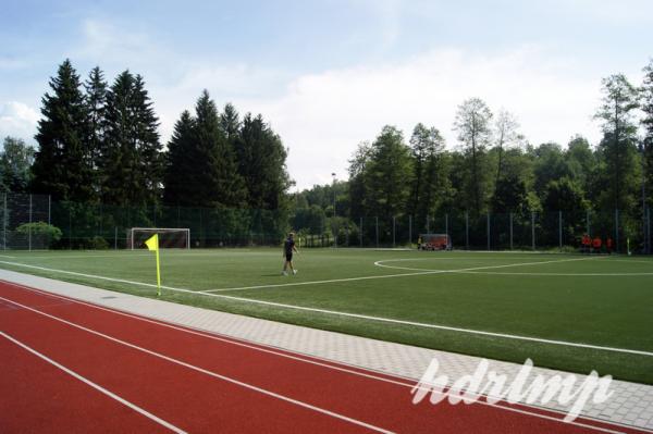 Stadion an der Elsterstraße Nebenplatz - Adorf/Vogtland