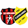 Wappen SG Flachslanden/Rügland II (Ground B)