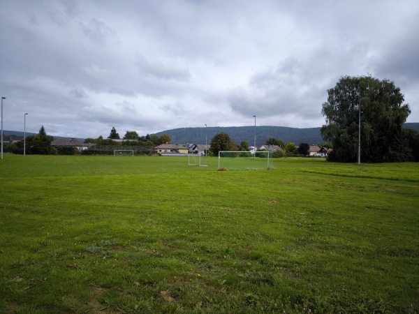 Mittelpunktsportanlage Platz 2 - Reinhardshagen-Veckerhagen