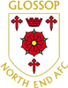 Wappen Glossop North End AFC