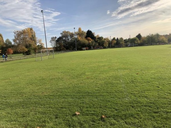 Sportgelände Albertshöfer Straße Platz 2 - Mainstockheim