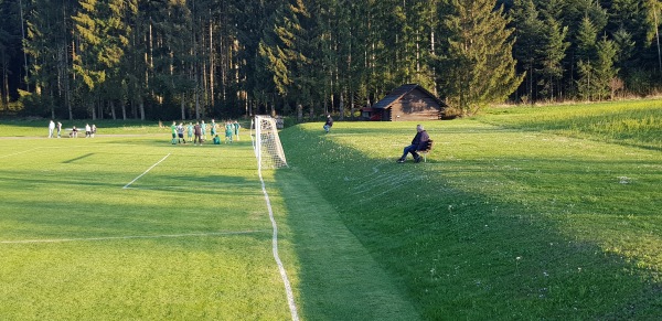 Sportplatz an der Mühlwiese - Dornhan-Marschalkenzimmern
