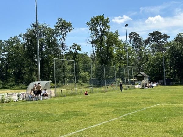 VfL-Sportanlage am Waldstadion Platz 2 - Hockenheim