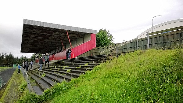 AVIS völlurinn - Reykjavík