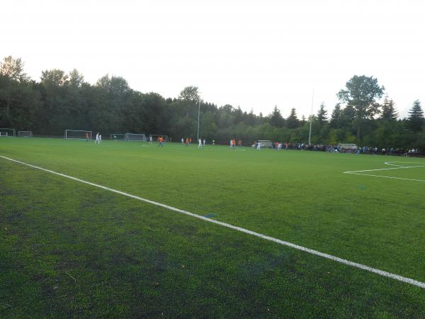 Borup Stadion Bane 2 - Borup