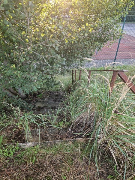 Boisko w Reptowie - Kobylanka-Reptowo